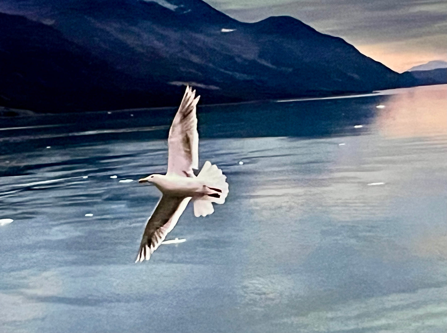 "Heaven's Grace" Glacier Bay National Park Artist Print