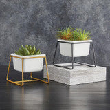 Elm Garden Pot & Holder